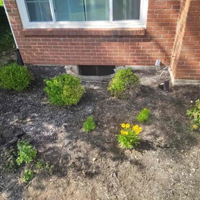Flower Bed Weeding by Dream landscaping inc reviewed on June 26, 2026