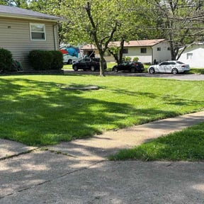 residential landscaping by Enclave Landscape Management reviewed on August 16, 2025