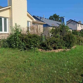 Bush Trimming by JNGLandscaping LLC reviewed on August 2, 2026