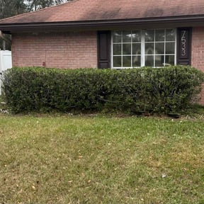 Bush Trimming by Nicks 20/20 lawn care reviewed on August 16, 2025