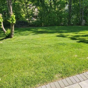 yard service by Pauls landscapping reviewed on May 4, 2024