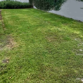 Bush Trimming by Jokers landscaping reviewed on August 17, 2025