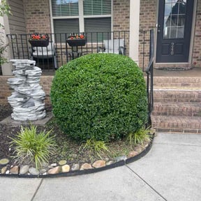Bush Trimming by Spartanturf@yahoo.com reviewed on May 23, 2026
