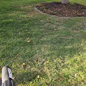 Leaf Removal by NJS Mow&amp;Snow reviewed on November 10, 2025