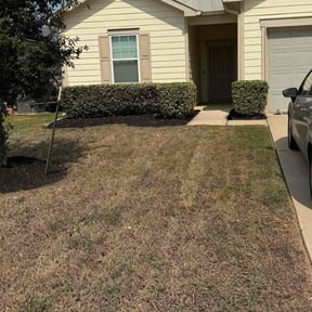 Bush Trimming by Spradlin lawncare reviewed on December 4, 2025