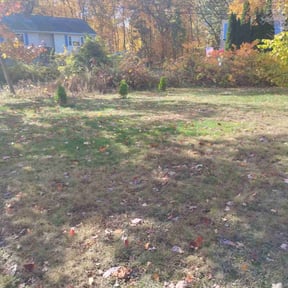 Bush Trimming by Sonny reviewed on October 20, 2025