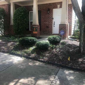 Bush Trimming by Toolegit lawn service reviewed on August 18, 2025