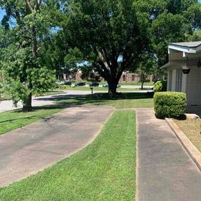 residential landscaping by Quality cuts reviewed on August 16, 2025
