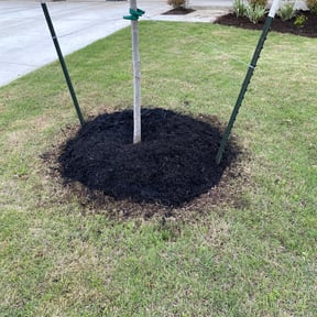 Flower Bed Weeding by Happy lawns reviewed on August 15, 2025