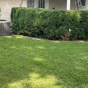 Bush Trimming by Michiee Bee Lawn Care reviewed on November 22, 2025