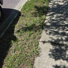 Leaf Removal by Sanjeev Singh Lawn Care reviewed on May 30, 2026