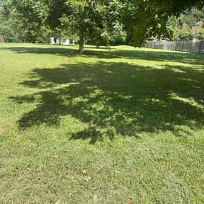 yard service by G E D Services LLC reviewed on April 25, 2024