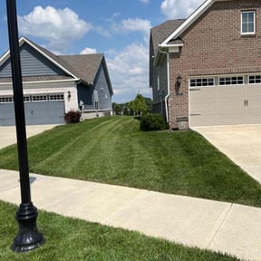 lawn service by A. Shook reviewed on August 8, 2024