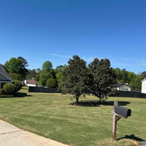 gardening service by Zunigas Green Care LLC  reviewed on November 22, 2025