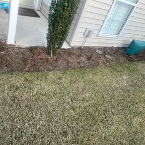 Flower Bed Weeding by Good Guys reviewed on December 6, 2025