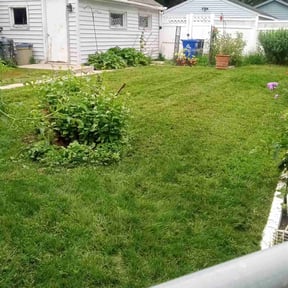 lawn care services by Big 3 Lawns and Landscaping reviewed on April 23, 2024