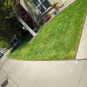 Cleanups by Sac lawn care services reviewed on March 31, 2025