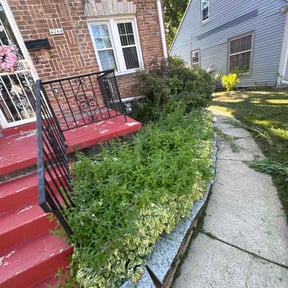 Flower Bed Weeding by Earls Lawn Care reviewed on July 27, 2026