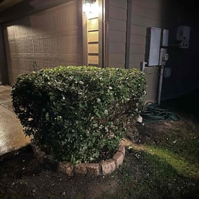 Bush Trimming by J&amp;J Lawn Care reviewed on January 16, 2023