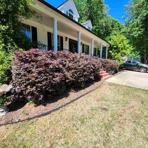 Bush Trimming by West Outdoor Services LLC reviewed on April 18, 2026