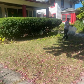 Bush Trimming by Bowie made business llc reviewed on October 24, 2025