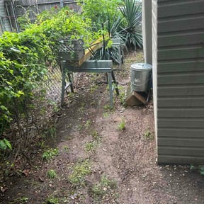 Leaf Removal by Isaac helping hands reviewed on July 6, 2026