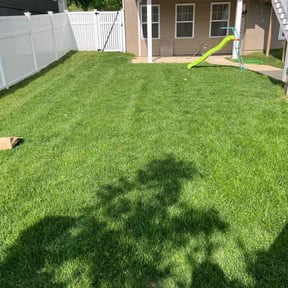 gardening service by JoeMo. Lawn&amp;Services reviewed on October 26, 2021