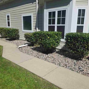 Bush Trimming by Bracy Home Improvement &amp; Lawncare reviewed on May 17, 2026