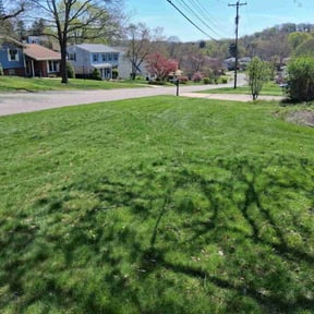 yard service by Burleys Lawn Care reviewed on March 28, 2024