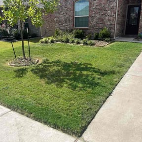 Flower Bed Weeding by Vb browning reviewed on October 18, 2025