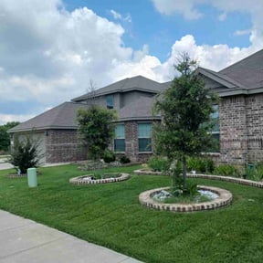 yard work by Gonzalez Landscaping reviewed on February 16, 2026