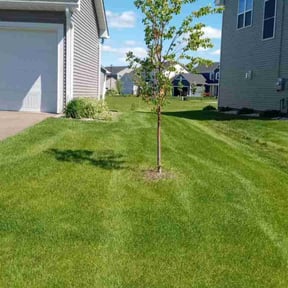 landscaping services by Quality Clean Kutz reviewed on November 19, 2025