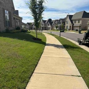 landscaping services by F&R Lawn Stars reviewed on August 14, 2025