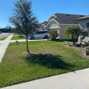 grass maintenance by Signature Lawn Care LLC. reviewed on May 17, 2024