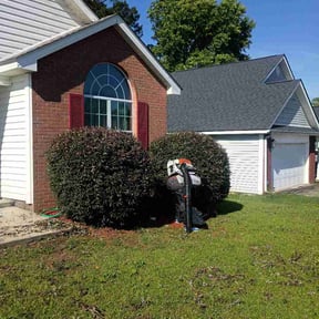 Bush Trimming by Harold’s Lawn Care reviewed on June 4, 2026