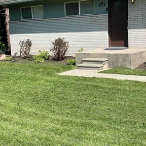 Leaf Removal by Cut and Go  reviewed on July 2, 2022