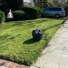 yard maintenance by Ninja Landscaping reviewed on November 22, 2025