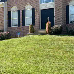 Bush Trimming by Adkins Landscapes reviewed on December 12, 2025