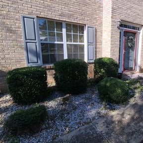 Bush Trimming by Game Time Landscaping LLC reviewed on August 18, 2025