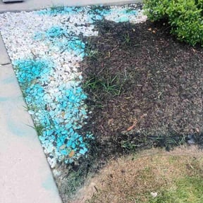 Flower Bed Weeding by Wildflower Lawn Care Company reviewed on August 17, 2026