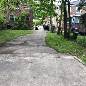 Leaf Removal by Salvador Lawn and Tree Service reviewed on September 6, 2025