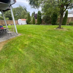 landscape maintenance by Big Boy Landscaping reviewed on July 19, 2025