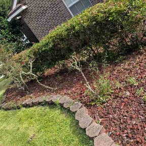 Bush Trimming by Eagle Eye Lawn Care reviewed on July 28, 2026