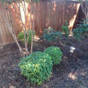 Flower Bed Weeding by We Mow Omaha reviewed on November 8, 2025