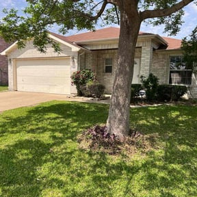 landscape maintenance by C&B All Property Services reviewed on August 19, 2025