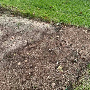 Flower Bed Weeding by Dan's Lawn &amp; Landscaping reviewed on August 6, 2026