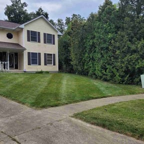 residential landscaping by Handsome Landscaping Group, Inc. reviewed on August 17, 2025
