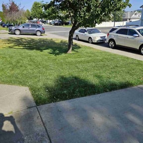 lawn service by Panhandle Pro-Clean reviewed on June 9, 2025