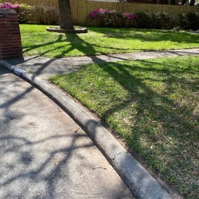 Leaf Removal by Speedy Lawnmower Landscaping reviewed on December 20, 2025