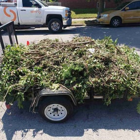 Bush Trimming by J.C. Lawn Service reviewed on August 15, 2025